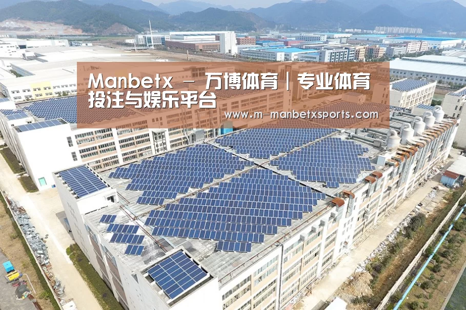 案例展示一