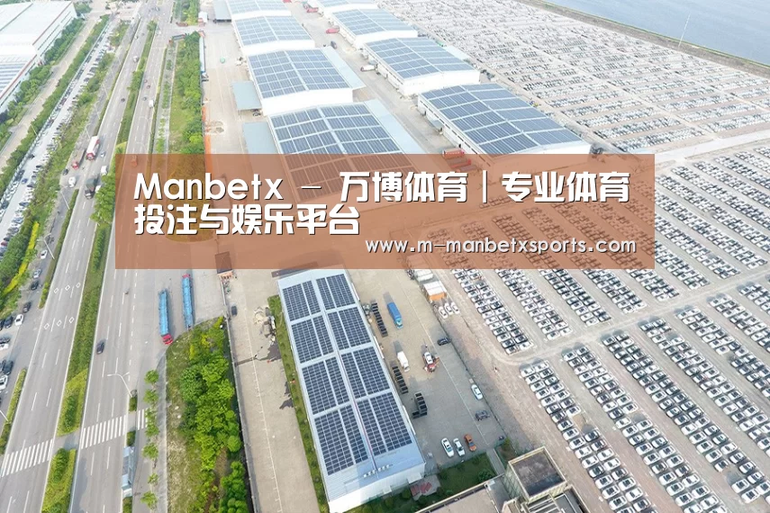 案例展示四