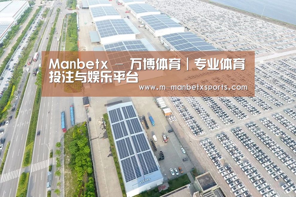 案例展示三