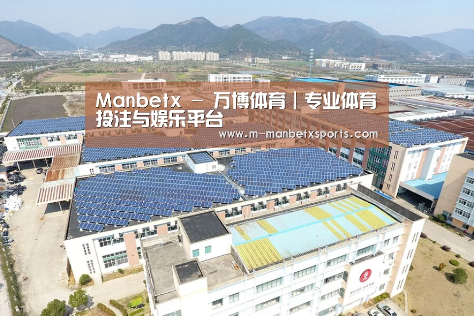 案例展示三