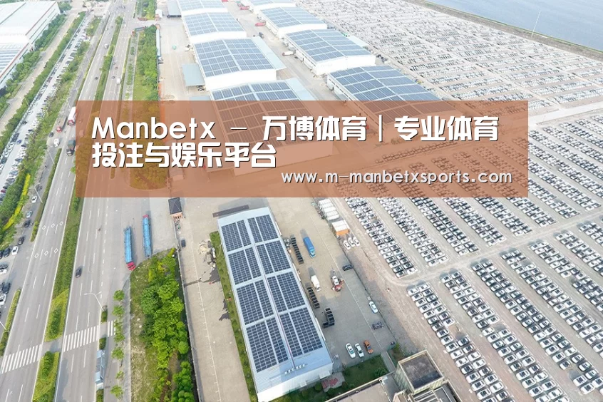 案例展示二
