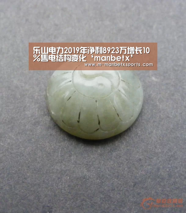 乐山电力2019年净利8923万增长10%售电结构变化‘manbetx’(图4) manbetx万博体育